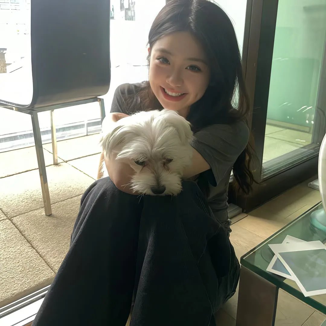 赔了夫人又折兵